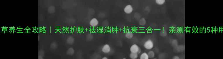 图片 🌿五皮草养生全攻略｜天然护肤+祛湿消肿+抗衰三合一！亲测有效的5种用法🌿2