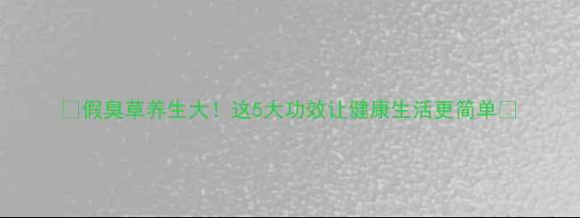 图片 🌿假臭草养生大！这5大功效让健康生活更简单🌿