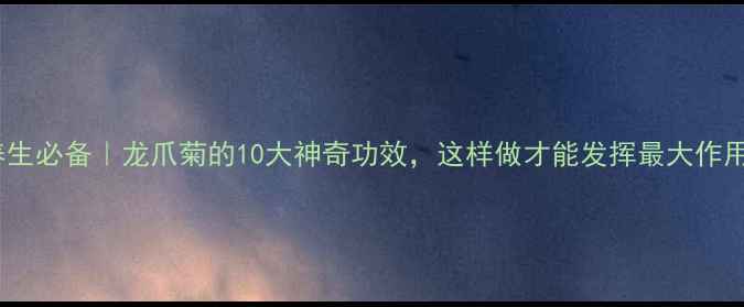 图片 🌿养生必备｜龙爪菊的10大神奇功效，这样做才能发挥最大作用！2