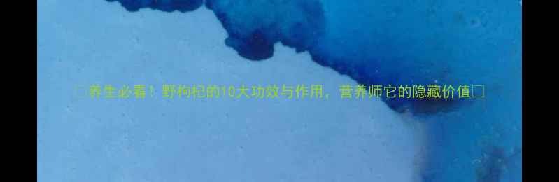 图片 🌿养生必看！野枸杞的10大功效与作用，营养师它的隐藏价值🌱