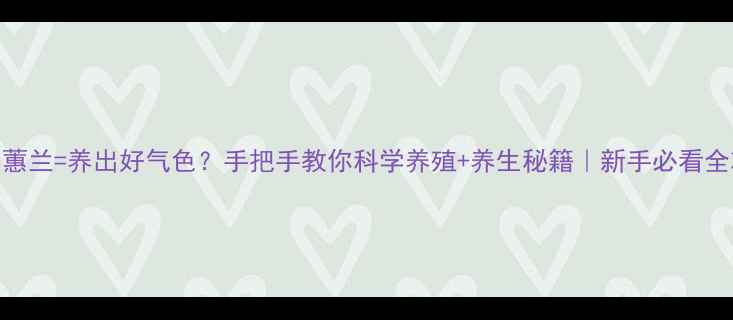 图片 🌿养蕙兰=养出好气色？手把手教你科学养殖+养生秘籍｜新手必看全攻略