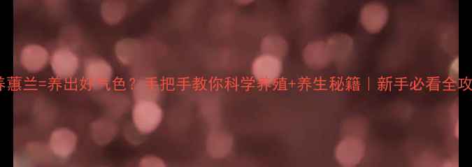 图片 🌿养蕙兰=养出好气色？手把手教你科学养殖+养生秘籍｜新手必看全攻略1