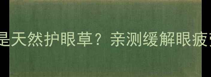 图片 🌿夏季养生必看千里光竟是天然护眼草？亲测缓解眼疲劳的3大妙用+搭配攻略！1