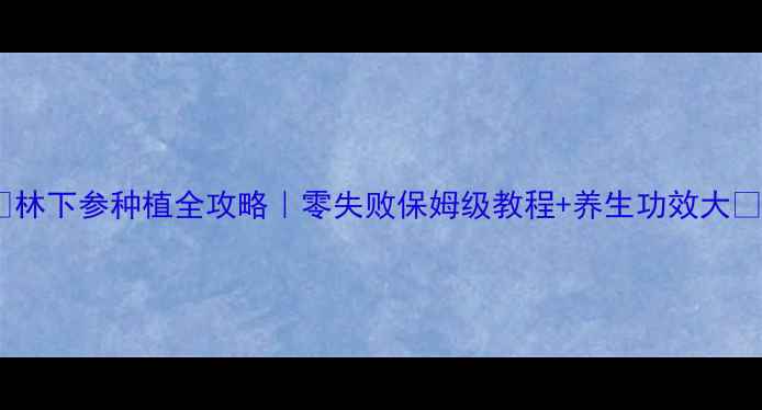 图片 🌿林下参种植全攻略｜零失败保姆级教程+养生功效大🌱2