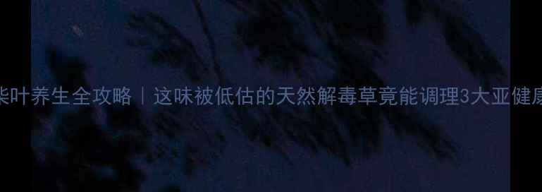 图片 🌿柴叶养生全攻略｜这味被低估的天然解毒草竟能调理3大亚健康？