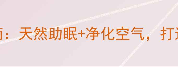 图片 🌿水培小睡莲养生指南：天然助眠+净化空气，打造你的治愈系小花园🌙