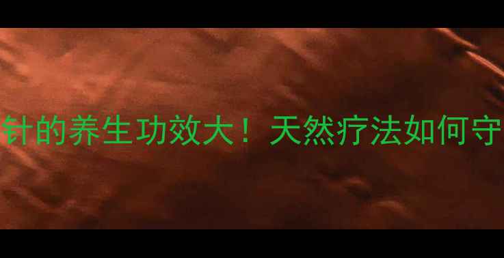 图片 🌿溴已新葡萄糖针的养生功效大！天然疗法如何守护你的肺功能？