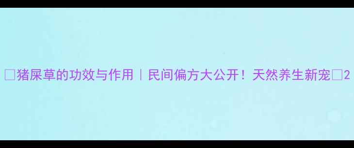 图片 🌿猪屎草的功效与作用｜民间偏方大公开！天然养生新宠💊2