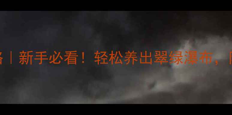 图片 🌿百合竹养殖全攻略｜新手必看！轻松养出翠绿瀑布，附养护要点+禁忌！1