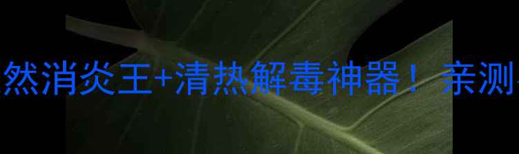 图片 🌿穿心莲养生全攻略｜天然消炎王+清热解毒神器！亲测有效的3大用法+4大禁忌1