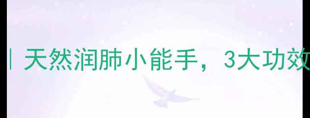 图片 🌿肺形草养生攻略｜天然润肺小能手，3大功效+5种吃法全解锁！