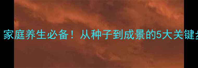 图片 🌿菖蒲种植全攻略｜家庭养生必备！从种子到成景的5大关键步骤（附养护秘籍）