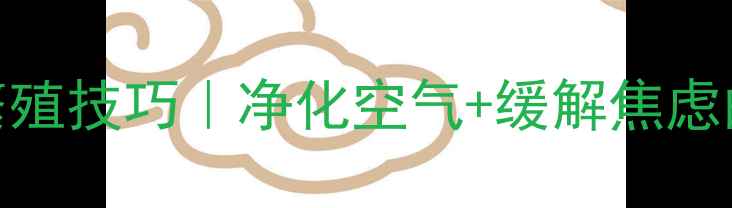 图片 🌿虎皮兰养生功效+繁殖技巧｜净化空气+缓解焦虑的治愈系绿植指南🌿1