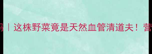 图片 🌿血节菜养生密码｜这株野菜竟是天然血管清道夫！营养师5大逆龄功效