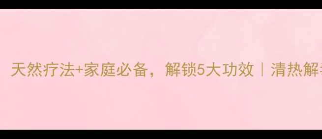 图片 🌿野菊花养生全攻略：天然疗法+家庭必备，解锁5大功效｜清热解毒护眼明目降火攻略1