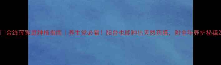 图片 🌿金线莲家庭种植指南｜养生党必看！阳台也能种出天然药膳，附全年养护秘籍2