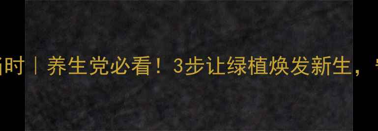 图片 🌿金钻换盆正当时｜养生党必看！3步让绿植焕发新生，守护全家健康🌱