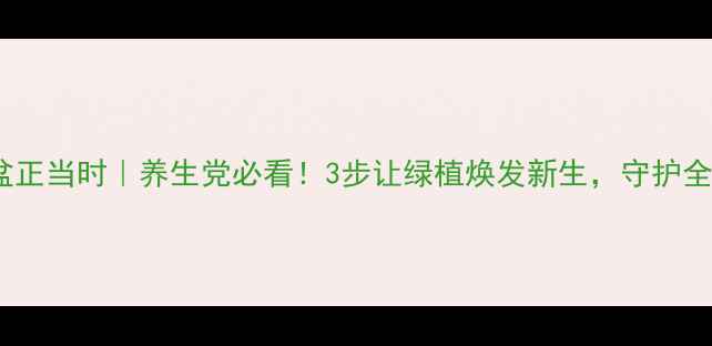 图片 🌿金钻换盆正当时｜养生党必看！3步让绿植焕发新生，守护全家健康🌱2