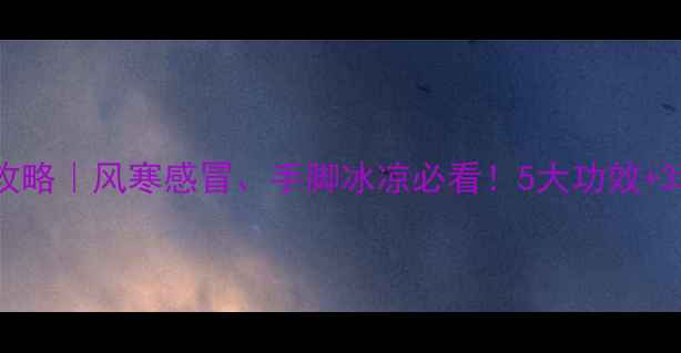 图片 🌿风寒草养生全攻略｜风寒感冒、手脚冰凉必看！5大功效+3种吃法亲测有效2
