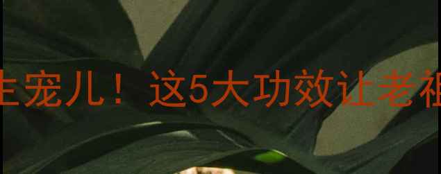 图片 🌿香芹叶子逆袭成养生宠儿！这5大功效让老祖宗的智慧大放异彩🌱