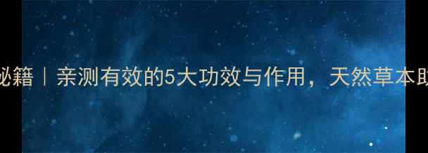 图片 🌿鱼醒草养生秘籍｜亲测有效的5大功效与作用，天然草本助你焕发活力！