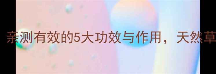图片 🌿鱼醒草养生秘籍｜亲测有效的5大功效与作用，天然草本助你焕发活力！2
