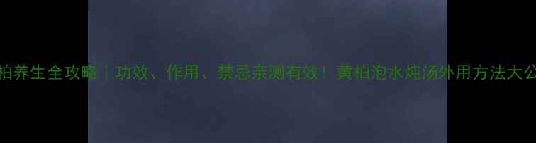 图片 🌿黄柏养生全攻略｜功效、作用、禁忌亲测有效！黄柏泡水炖汤外用方法大公开🌱