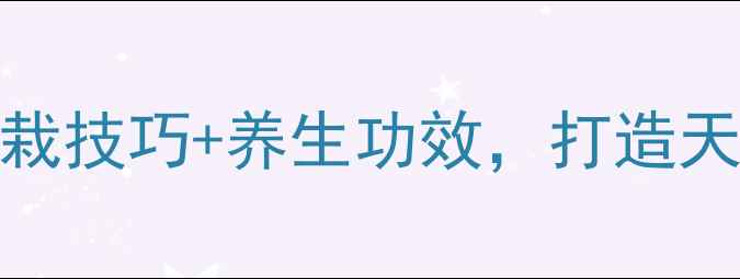 图片 🌿黑金刚养殖全攻略｜移栽技巧+养生功效，打造天然空气净化舱（附干货）