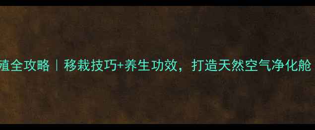图片 🌿黑金刚养殖全攻略｜移栽技巧+养生功效，打造天然空气净化舱（附干货）1