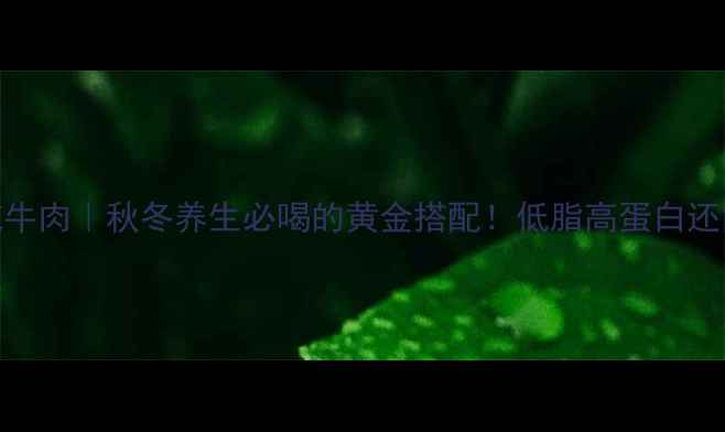图片 🌿🥩冬瓜炖牛肉｜秋冬养生必喝的黄金搭配！低脂高蛋白还能补气血💪