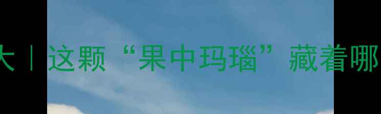 图片 🍇黑布林养生大｜这颗“果中玛瑙”藏着哪些逆龄密码？1