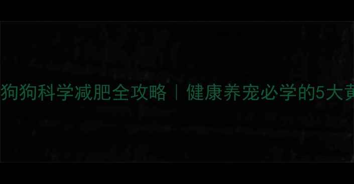 图片 🐾必看！狗狗科学减肥全攻略｜健康养宠必学的5大黄金法则1