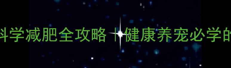 图片 🐾必看！狗狗科学减肥全攻略｜健康养宠必学的5大黄金法则2