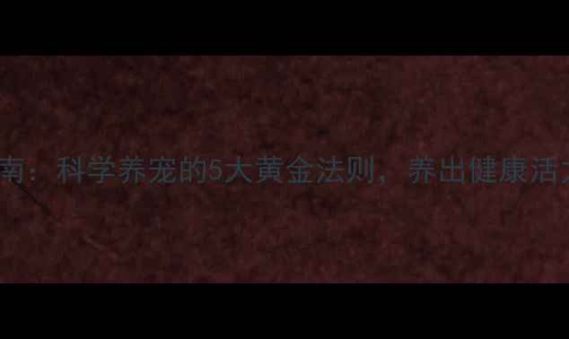 图片 🐾狗狗养生指南：科学养宠的5大黄金法则，养出健康活力好狗狗！🐶2