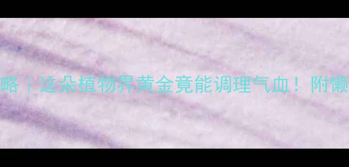 图片 💎宝石花养生全攻略｜这朵植物界黄金竟能调理气血！附懒人食谱+禁忌指南1
