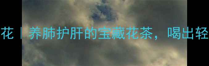 图片 💮显脉旋覆花｜养肺护肝的宝藏花茶，喝出轻盈好气色✨