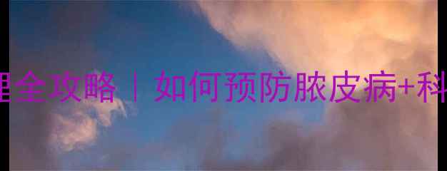 图片 🔥狗狗皮肤护理全攻略｜如何预防脓皮病+科学护理指南🐾2