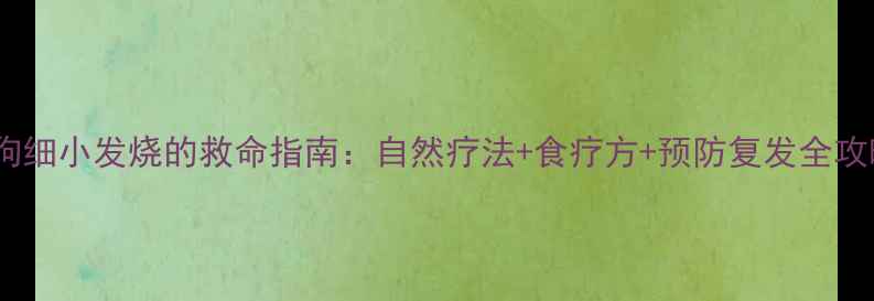 图片 🔥狗狗细小发烧的救命指南：自然疗法+食疗方+预防复发全攻略🔥1