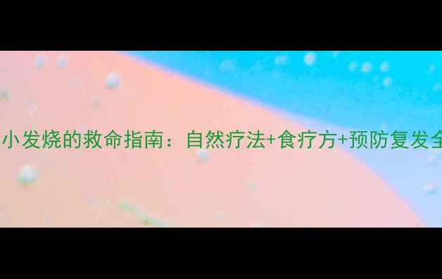 图片 🔥狗狗细小发烧的救命指南：自然疗法+食疗方+预防复发全攻略🔥2